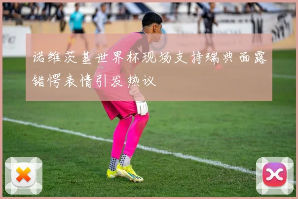 诺维茨基世界杯现场支持瑞典面露错愕表情引发热议