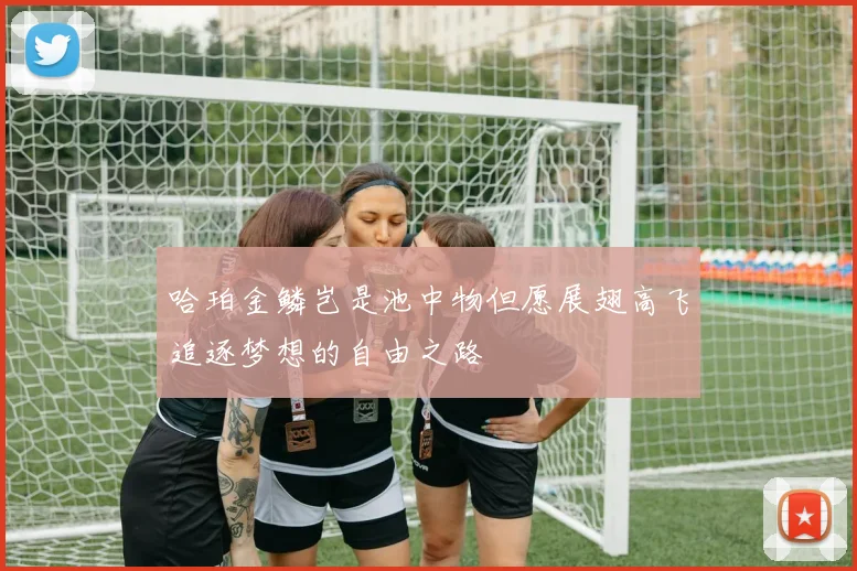 哈珀金鳞岂是池中物但愿展翅高飞追逐梦想的自由之路